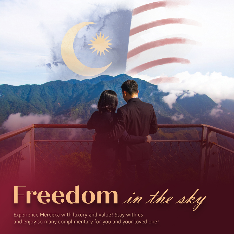 freedom-in-the-sky